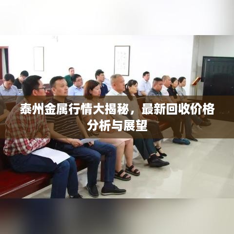 泰州金屬行情大揭秘，最新回收價格分析與展望