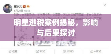 明星逃稅案例揭秘，影響與后果探討