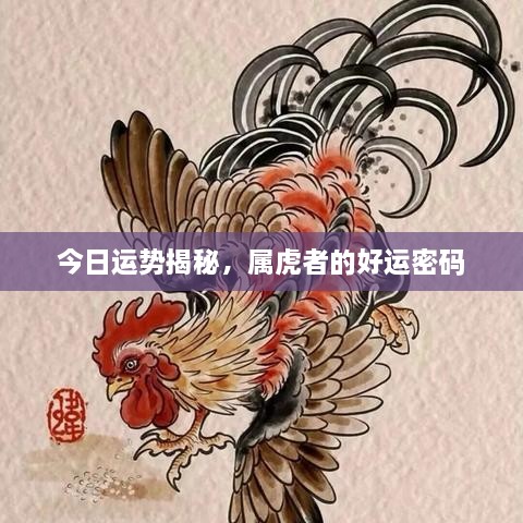 今日運勢揭秘，屬虎者的好運密碼