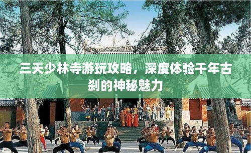 三天少林寺游玩攻略，深度體驗千年古剎的神秘魅力