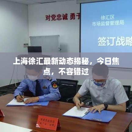 上海徐匯最新動態(tài)揭秘，今日焦點，不容錯過