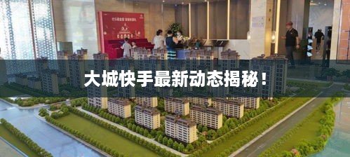 大城快手最新動態(tài)揭秘！