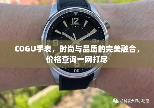 COGU手表，時(shí)尚與品質(zhì)的完美融合，價(jià)格查詢一網(wǎng)打盡