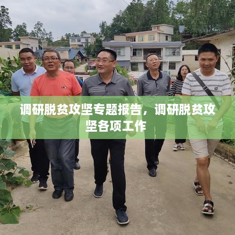 調(diào)研脫貧攻堅(jiān)專(zhuān)題報(bào)告，調(diào)研脫貧攻堅(jiān)各項(xiàng)工作 