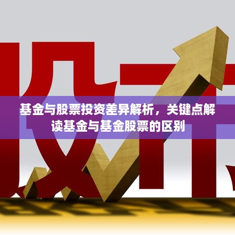 基金與股票投資差異解析，關(guān)鍵點(diǎn)解讀基金與基金股票的區(qū)別