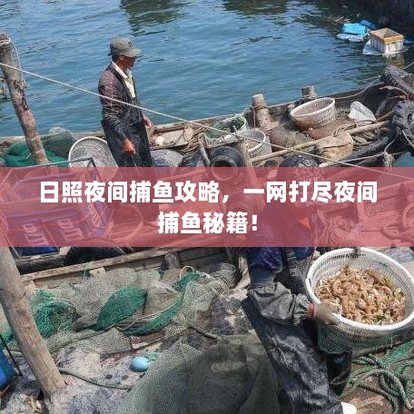 日照夜間捕魚攻略，一網(wǎng)打盡夜間捕魚秘籍！