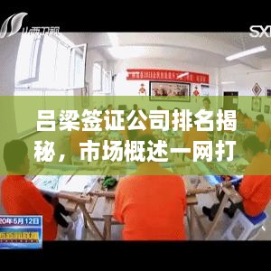 呂梁簽證公司排名揭秘，市場概述一網(wǎng)打盡