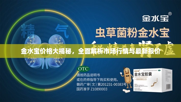 金水寶價(jià)格大揭秘，全面解析市場行情與最新報(bào)價(jià)