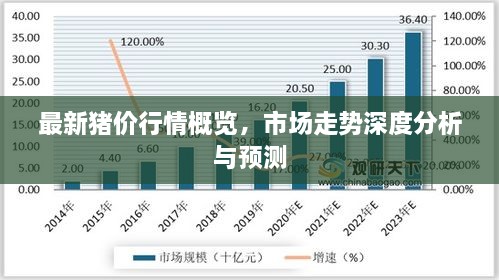 最新豬價行情概覽，市場走勢深度分析與預測