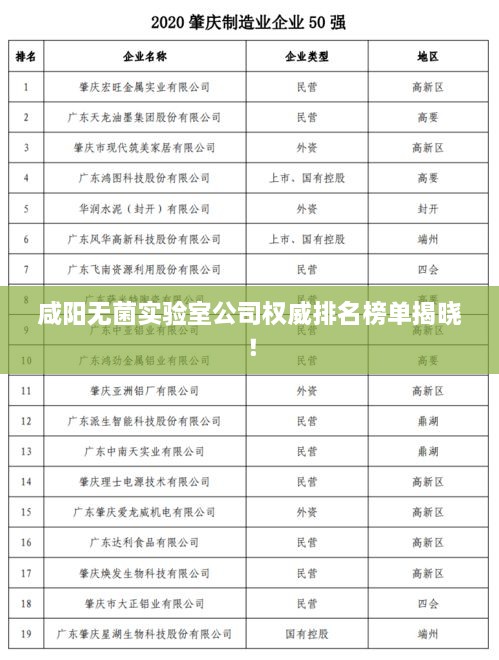 咸陽無菌實(shí)驗(yàn)室公司權(quán)威排名榜單揭曉！