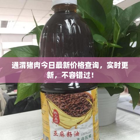 通渭豬肉今日最新價(jià)格查詢(xún)，實(shí)時(shí)更新，不容錯(cuò)過(guò)！