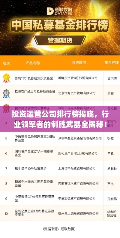 投資運營公司排行榜揭曉，行業(yè)領(lǐng)軍者的制勝武器全揭秘！