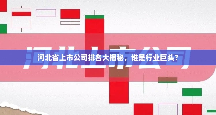 河北省上市公司排名大揭秘，誰是行業(yè)巨頭？
