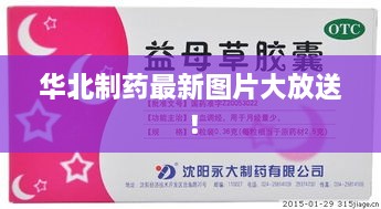 華北制藥最新圖片大放送！