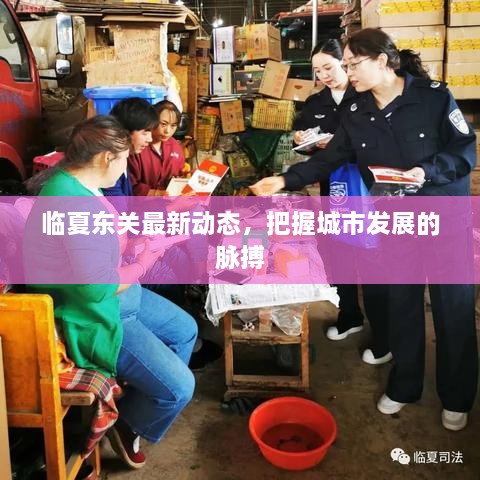 臨夏東關(guān)最新動(dòng)態(tài)，把握城市發(fā)展的脈搏