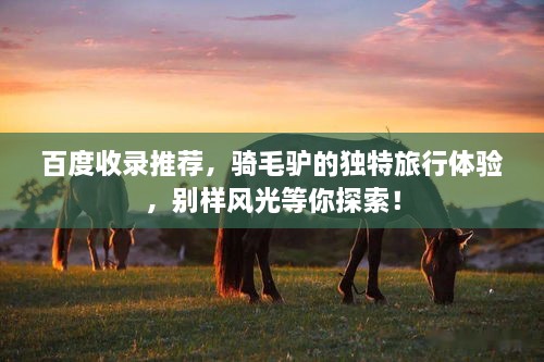 百度收錄推薦，騎毛驢的獨特旅行體驗，別樣風光等你探索！