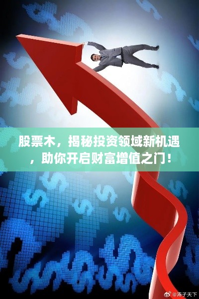 股票木，揭秘投資領(lǐng)域新機(jī)遇，助你開啟財(cái)富增值之門！