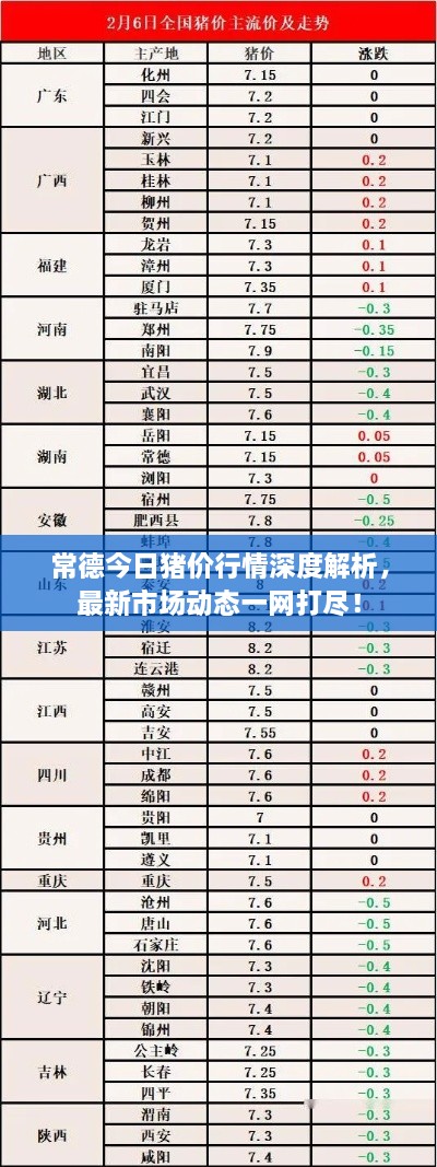 常德今日豬價(jià)行情深度解析，最新市場(chǎng)動(dòng)態(tài)一網(wǎng)打盡！