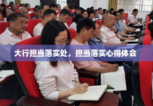 大行擔(dān)當(dāng)落實(shí)處，擔(dān)當(dāng)落實(shí)心得體會 