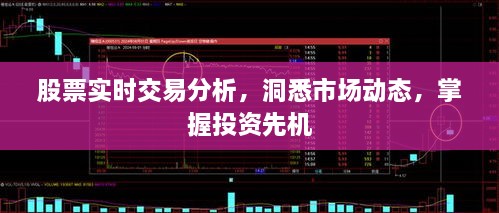 股票實(shí)時(shí)交易分析，洞悉市場(chǎng)動(dòng)態(tài)，掌握投資先機(jī)