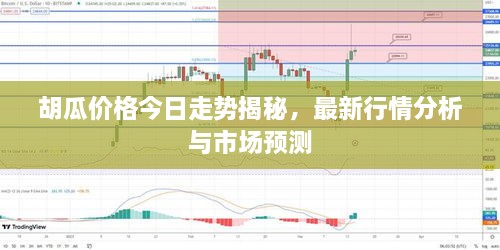 胡瓜價(jià)格今日走勢揭秘，最新行情分析與市場預(yù)測