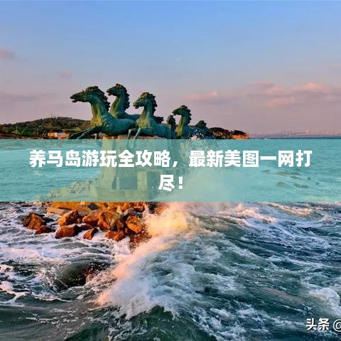 養(yǎng)馬島游玩全攻略，最新美圖一網(wǎng)打盡！