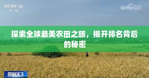 探索全球最美農(nóng)田之旅，揭開排名背后的秘密