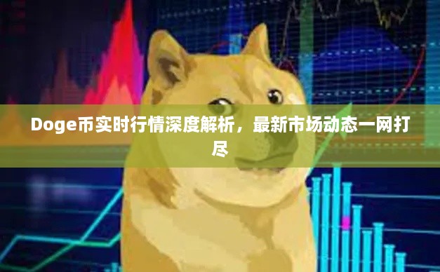 Doge幣實時行情深度解析，最新市場動態(tài)一網(wǎng)打盡