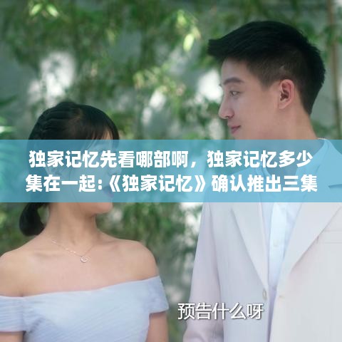 獨(dú)家記憶先看哪部啊，獨(dú)家記憶多少集在一起:《獨(dú)家記憶》確認(rèn)推出三集番外 