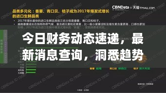 今日財(cái)務(wù)動(dòng)態(tài)速遞，最新消息查詢，洞悉趨勢(shì)，掌握財(cái)經(jīng)動(dòng)態(tài)