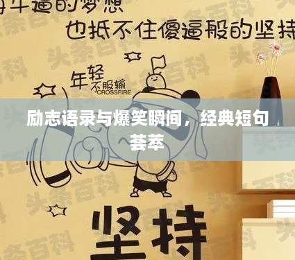 勵(lì)志語錄與爆笑瞬間，經(jīng)典短句薈萃