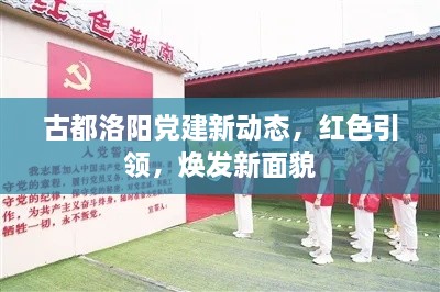 古都洛陽黨建新動態(tài)，紅色引領(lǐng)，煥發(fā)新面貌