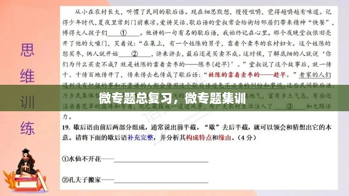 微專題總復(fù)習(xí)，微專題集訓(xùn) 