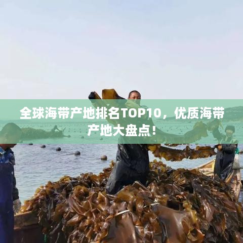 全球海帶產地排名TOP10，優(yōu)質海帶產地大盤點！