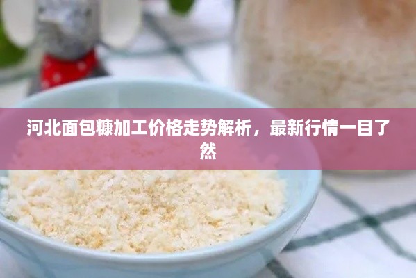 河北面包糠加工價(jià)格走勢(shì)解析，最新行情一目了然