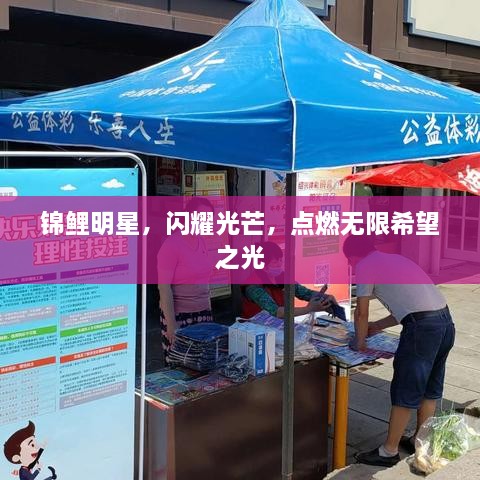 錦鯉明星，閃耀光芒，點(diǎn)燃無限希望之光