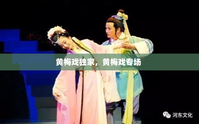 黃梅戲獨(dú)家，黃梅戲?qū)?chǎng) 