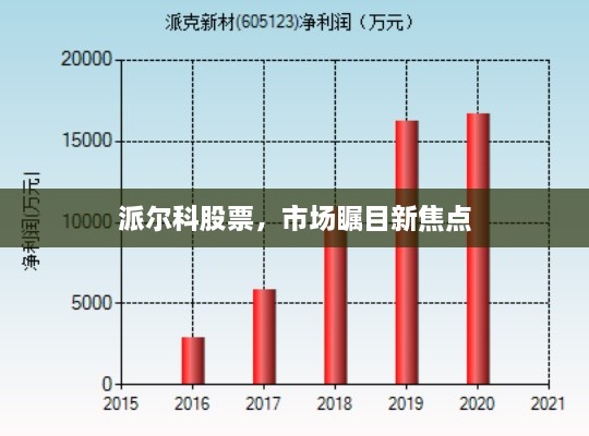 派爾科股票，市場(chǎng)矚目新焦點(diǎn)