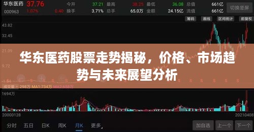華東醫(yī)藥股票走勢(shì)揭秘，價(jià)格、市場(chǎng)趨勢(shì)與未來展望分析