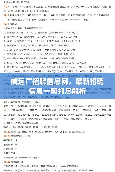 威遠廠招聘信息網，最新招聘信息一網打盡解析