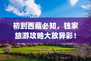 初到西藏必知，獨(dú)家旅游攻略大放異彩！