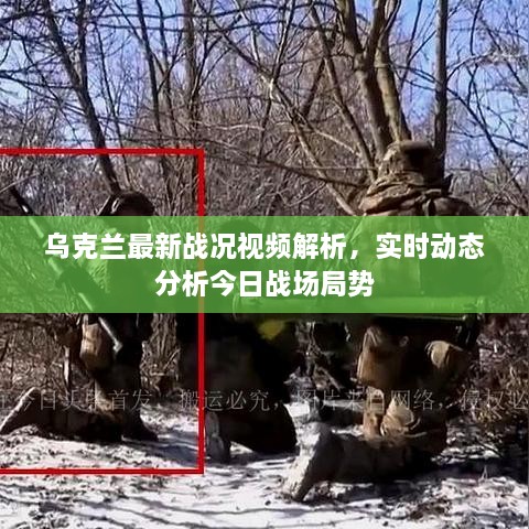 烏克蘭最新戰(zhàn)況視頻解析，實時動態(tài)分析今日戰(zhàn)場局勢