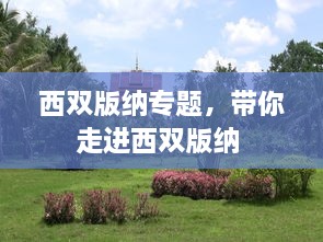 西雙版納專題，帶你走進(jìn)西雙版納 