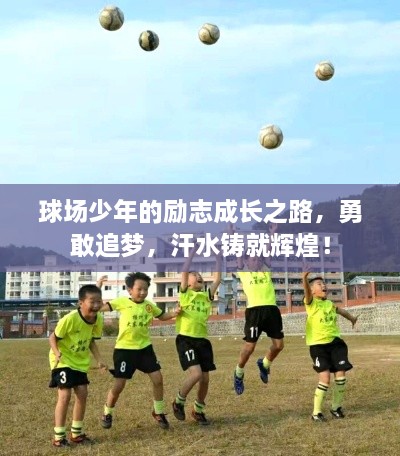 球場少年的勵志成長之路，勇敢追夢，汗水鑄就輝煌！