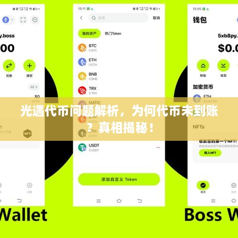 光遇代幣問題解析，為何代幣未到賬？真相揭秘！