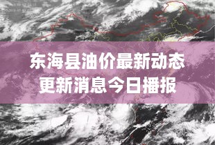 東?？h油價(jià)最新動(dòng)態(tài)更新消息今日播報(bào)