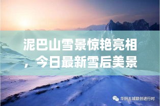 泥巴山雪景驚艷亮相，今日最新雪后美景報(bào)道！