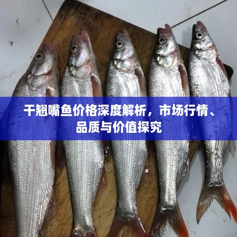 干翹嘴魚價格深度解析，市場行情、品質(zhì)與價值探究
