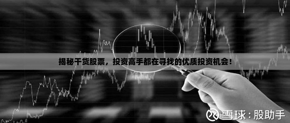 揭秘干貨股票，投資高手都在尋找的優(yōu)質(zhì)投資機會！