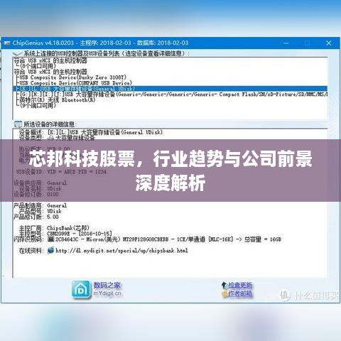 芯邦科技股票，行業(yè)趨勢(shì)與公司前景深度解析